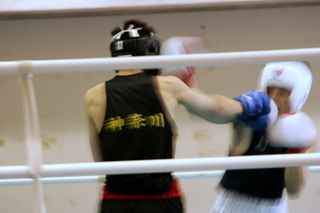 IMG_5881.JPG