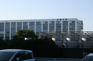 IMG_6506.JPG