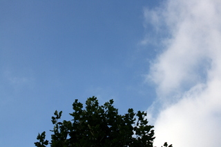 IMG_6988.JPG